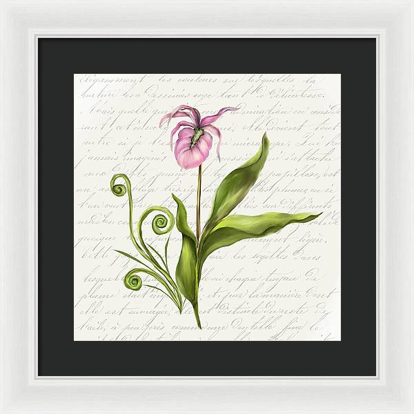 Summer Blooms - Lady Slipper - Framed Print