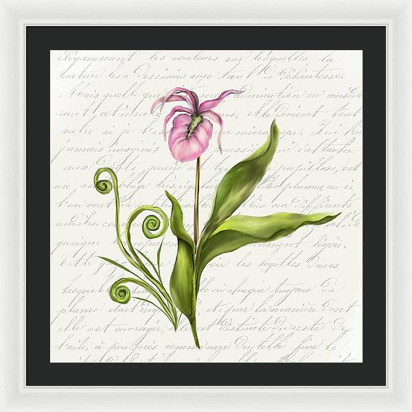 Summer Blooms - Lady Slipper - Framed Print