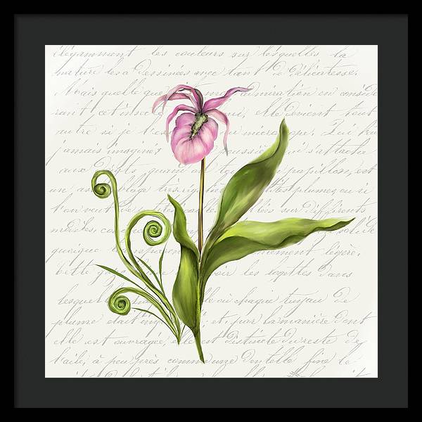 Summer Blooms - Lady Slipper - Framed Print