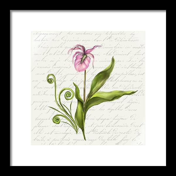 Summer Blooms - Lady Slipper - Framed Print
