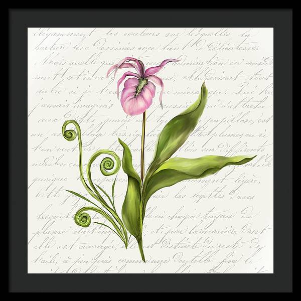 Summer Blooms - Lady Slipper - Framed Print