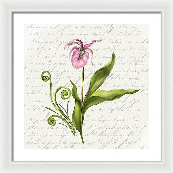 Summer Blooms - Lady Slipper - Framed Print