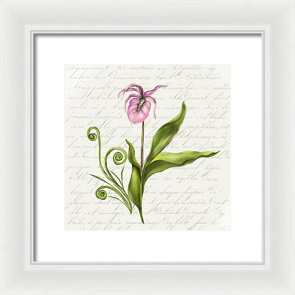 Summer Blooms - Lady Slipper - Framed Print