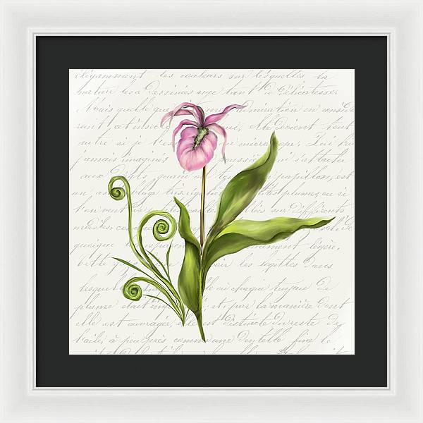 Summer Blooms - Lady Slipper - Framed Print
