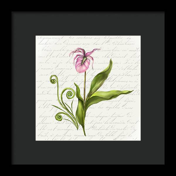 Summer Blooms - Lady Slipper - Framed Print