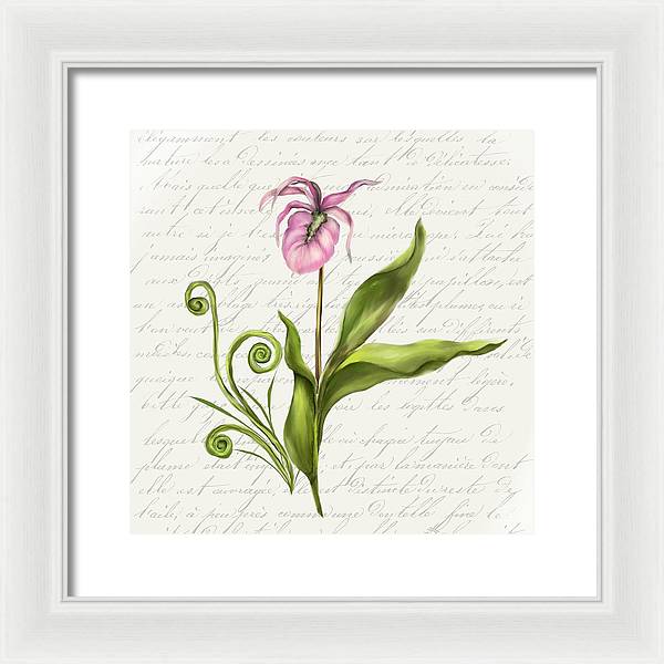 Summer Blooms - Lady Slipper - Framed Print