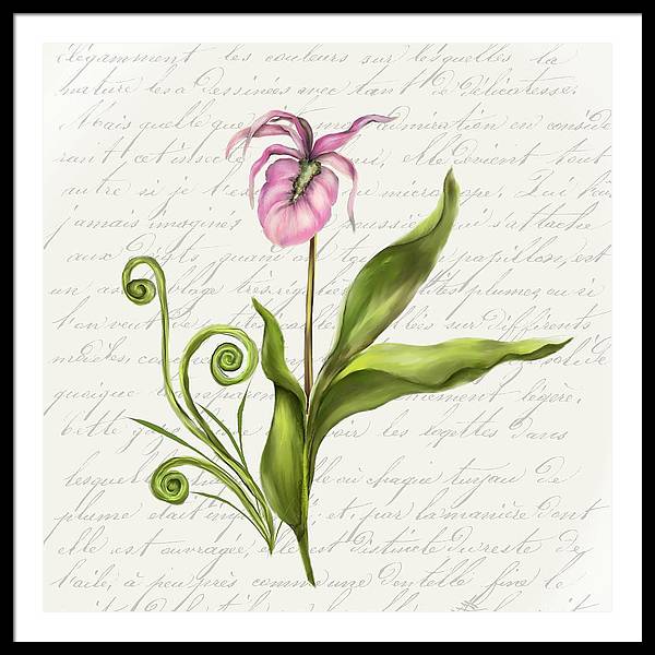 Summer Blooms - Lady Slipper - Framed Print