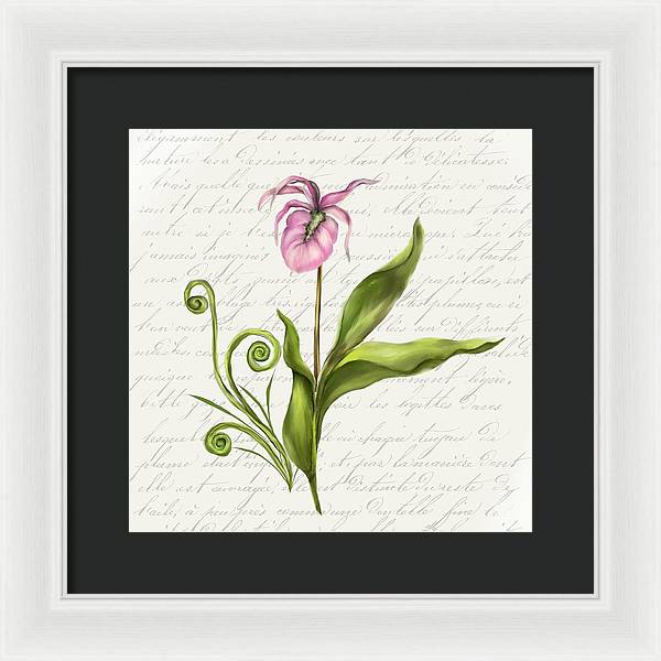 Summer Blooms - Lady Slipper - Framed Print
