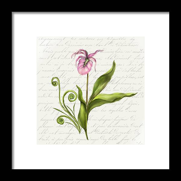 Summer Blooms - Lady Slipper - Framed Print