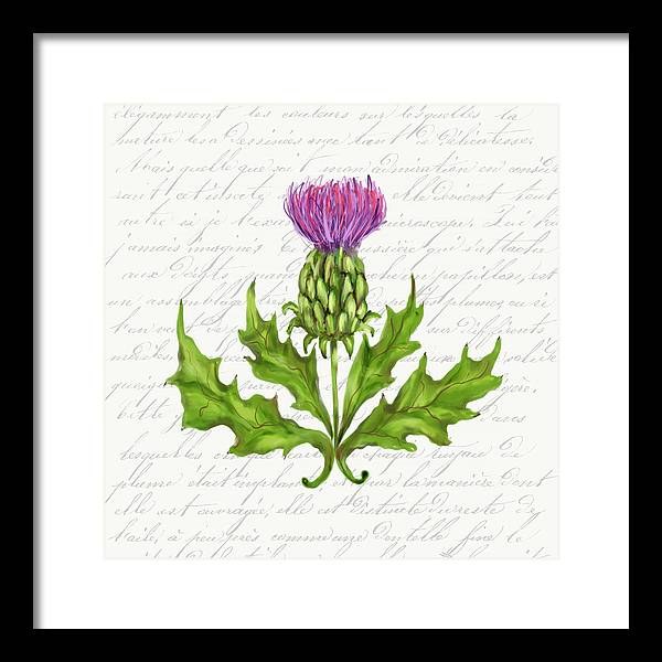 Summer Blooms - Thistle - Framed Print