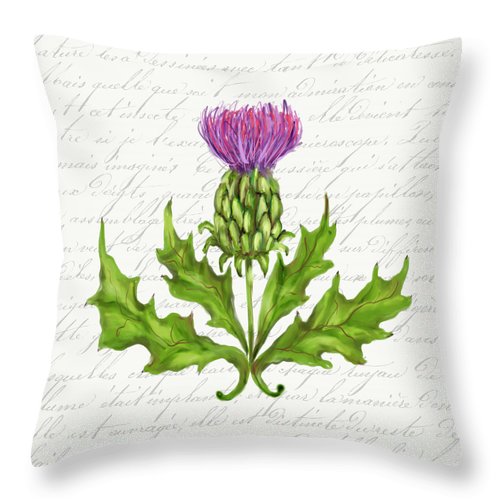 Summer Blooms - Thistle - Throw Pillow