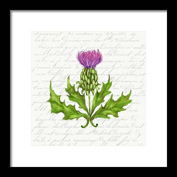 Summer Blooms - Thistle - Framed Print