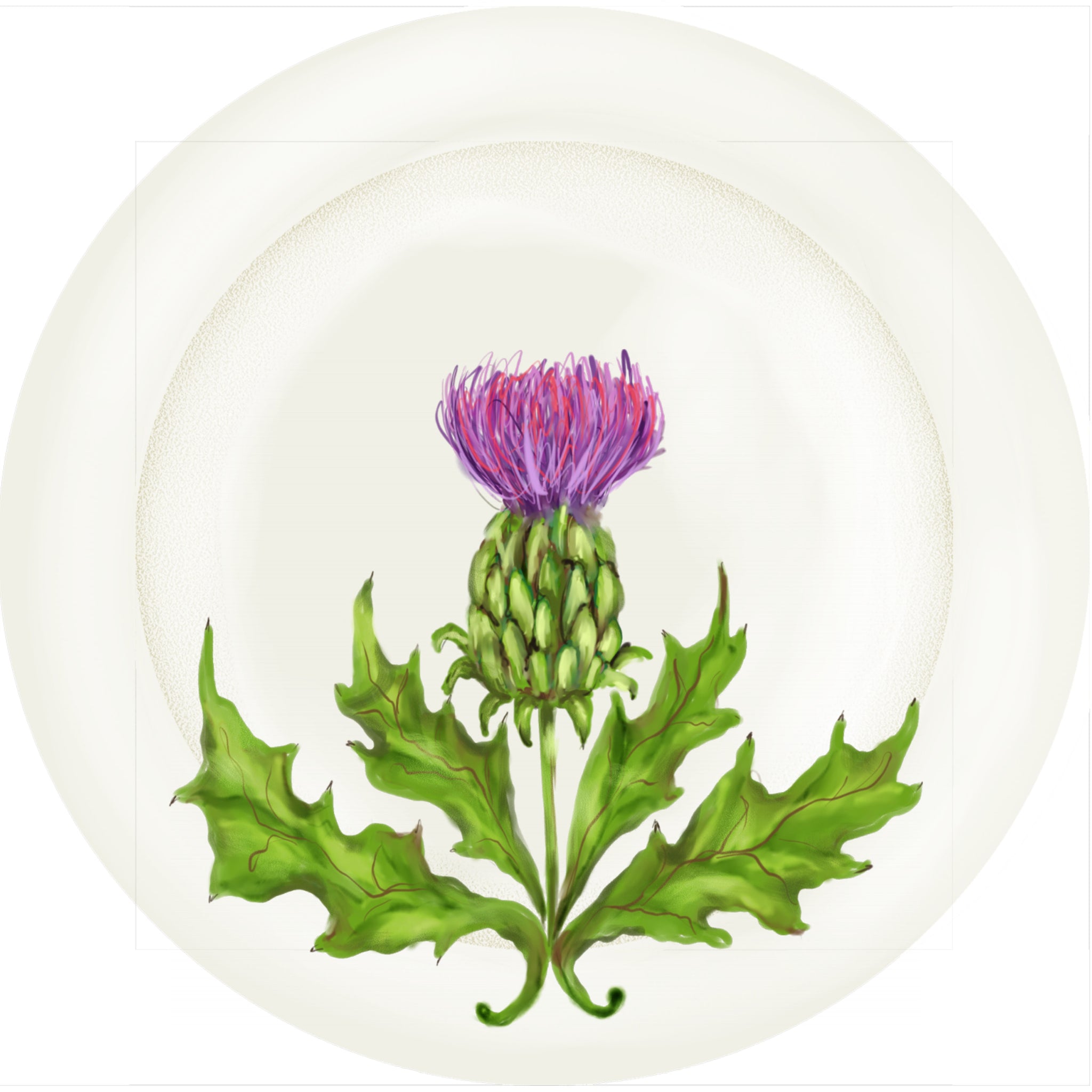 Summer Blooms - Thistle - 10" Dinner Plate