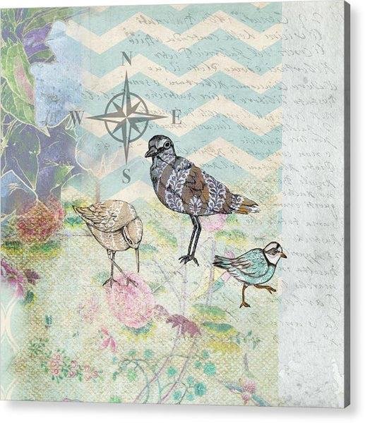 Sanctuary 3 Birds - Acrylic Print