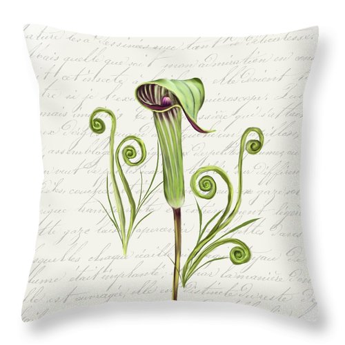 Summer Blooms - Jack-in-the-pulpit #1 - Throw Pillow