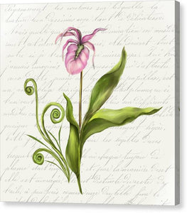 Summer Blooms - Lady Slipper - Canvas Print