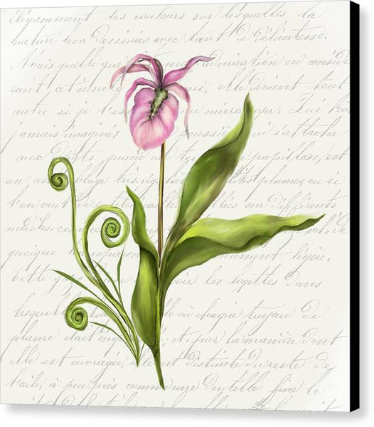 Summer Blooms - Lady Slipper - Canvas Print