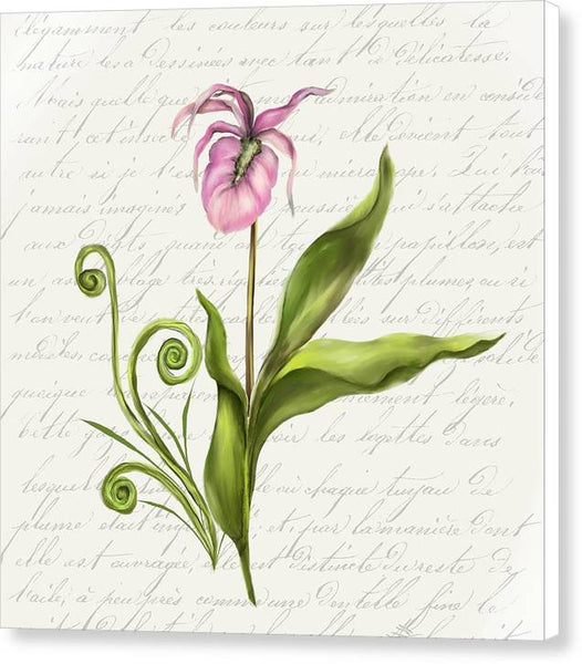 Summer Blooms - Lady Slipper - Canvas Print