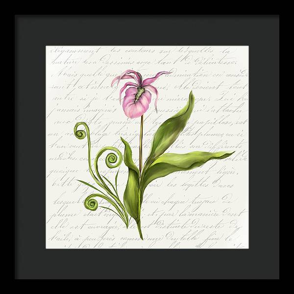 Summer Blooms - Lady Slipper - Framed Print