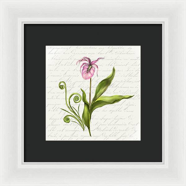 Summer Blooms - Lady Slipper - Framed Print