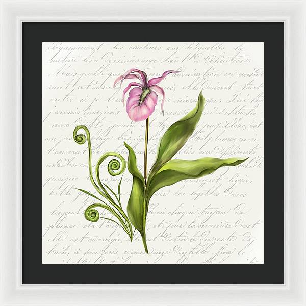 Summer Blooms - Lady Slipper - Framed Print