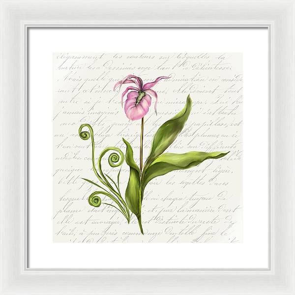 Summer Blooms - Lady Slipper - Framed Print