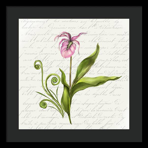 Summer Blooms - Lady Slipper - Framed Print