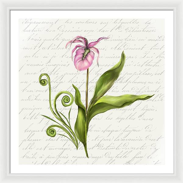 Summer Blooms - Lady Slipper - Framed Print