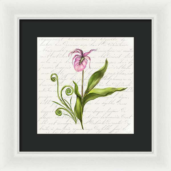 Summer Blooms - Lady Slipper - Framed Print