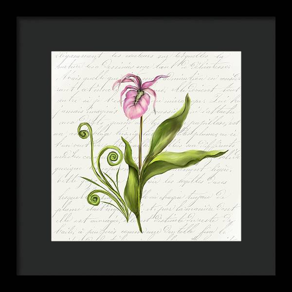 Summer Blooms - Lady Slipper - Framed Print