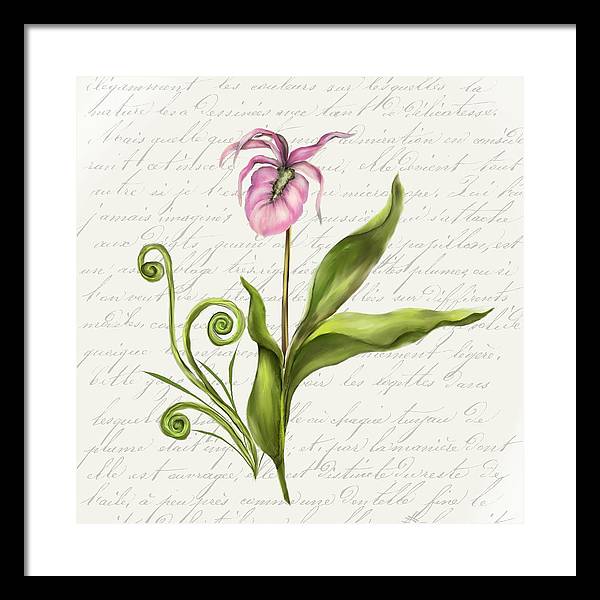 Summer Blooms - Lady Slipper - Framed Print