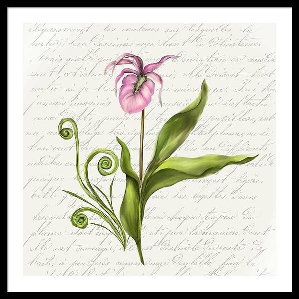 Summer Blooms - Lady Slipper - Framed Print