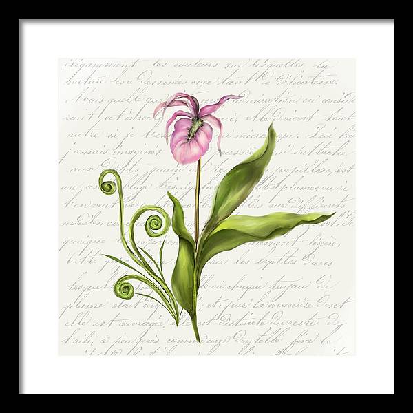 Summer Blooms - Lady Slipper - Framed Print