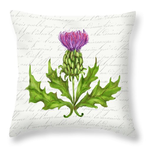 Summer Blooms - Thistle - Throw Pillow