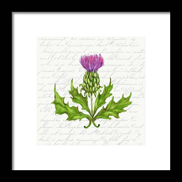 Summer Blooms - Thistle - Framed Print