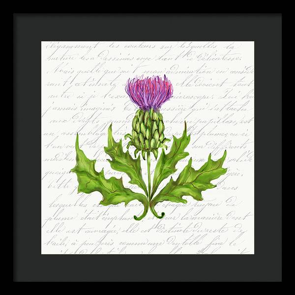 Summer Blooms - Thistle - Framed Print