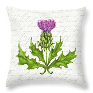 Pillows for Your Valentine! Thistle 14 x 14