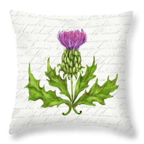 Pillows for Your Valentine! Thistle 14 x 14