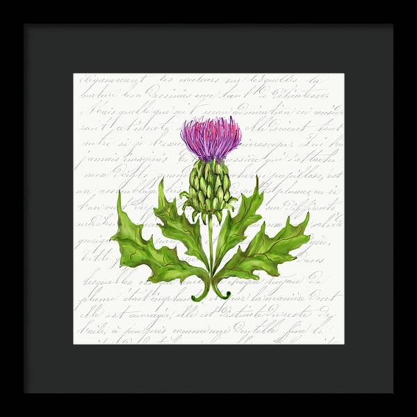 Summer Blooms - Thistle - Framed Print
