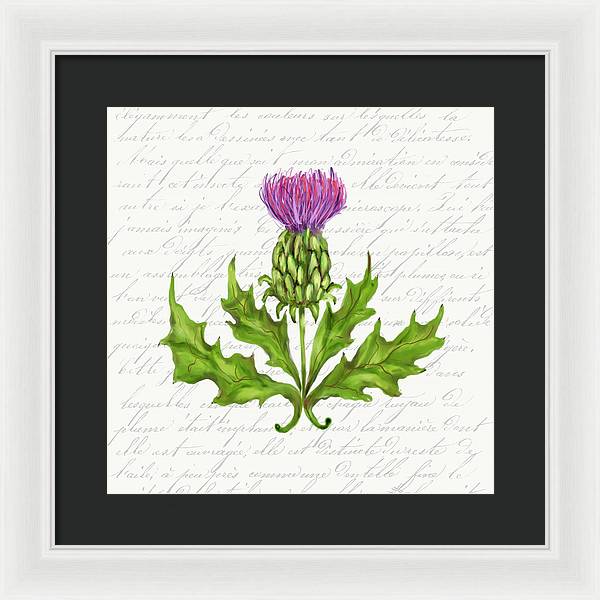 Summer Blooms - Thistle - Framed Print