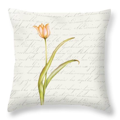 Summer Blooms - Tulip Sunshine - Throw Pillow