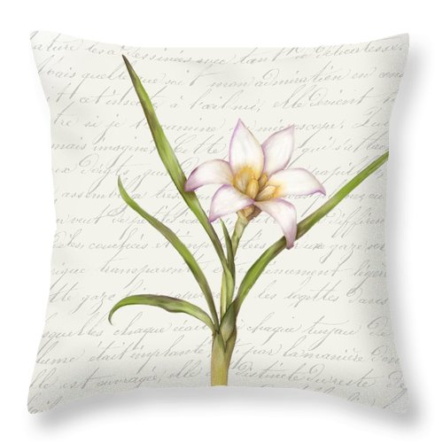 Summer Blooms - White Anemone - Throw Pillow